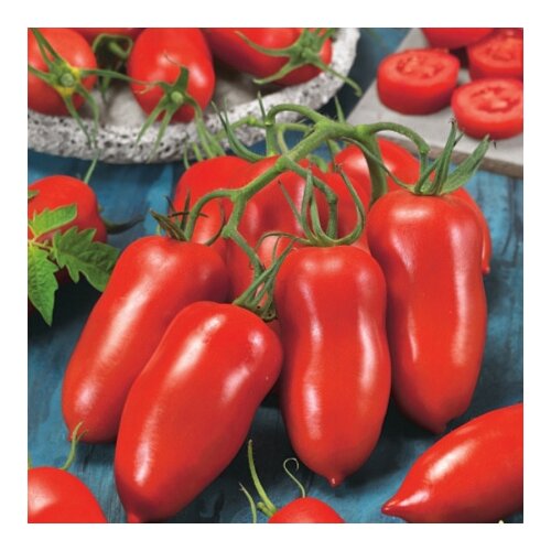 ������ ������ ������ ���� ������ ����� ������ 3 �� ����