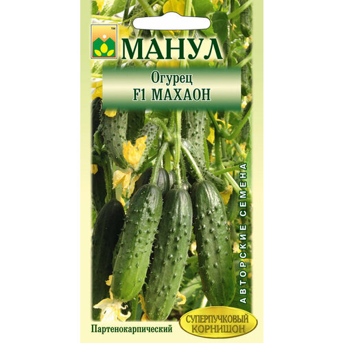 ������ ������ ������ ����� 