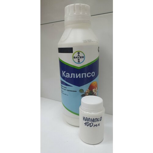 ������ ������ ���������� ������� 100�� ����