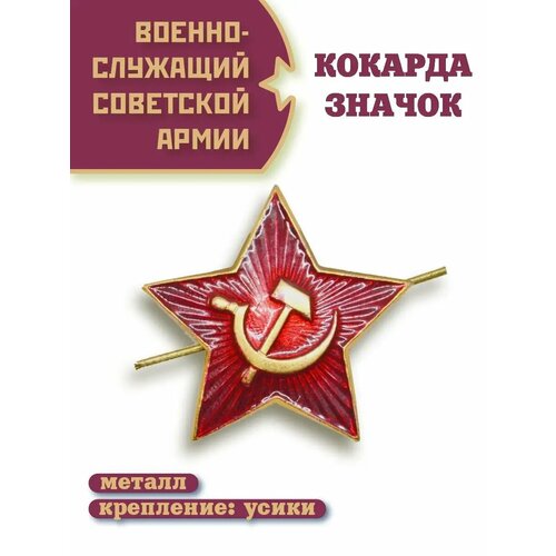 ������ ������ ������� ���������� ����� ����