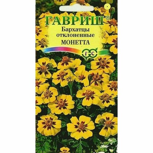 ������ ������ ������ �������� ������� ����������, (������) 0,3� ����