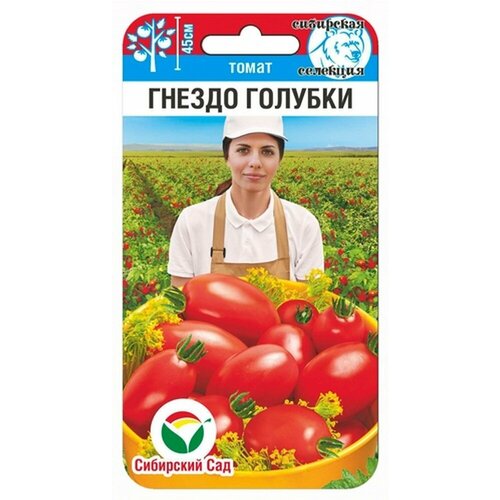 ������ ������ ������ ����� ������ ������� 20�� ��� ������ (��������� ���) ����