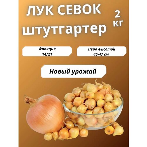 ������ ������ ��� ����� ���������� ����� 2 �� ����