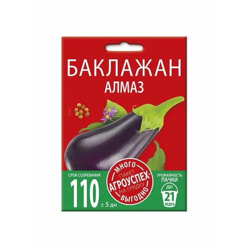 ������ ������ �������� �����, ������ ��������� �����-������� 1� ����