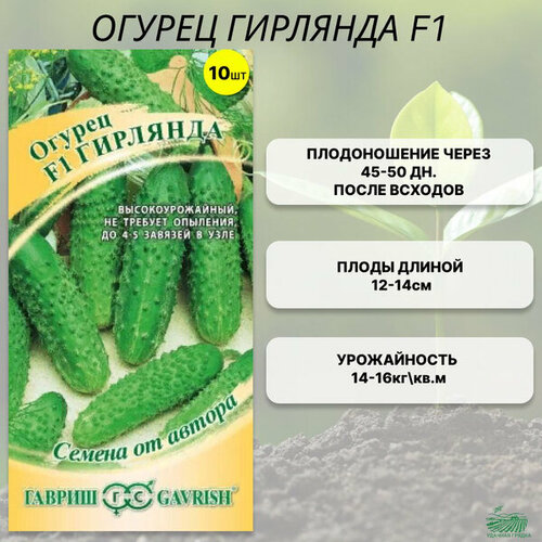 ������ ������ ������ ������� �������� ������������� ��� ������ � ��������� ������. ����