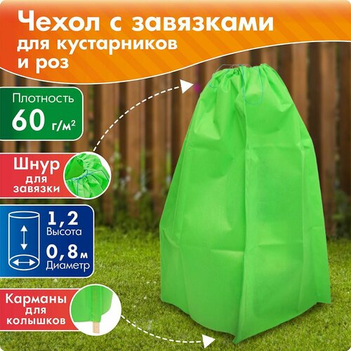 ������ ������ ����� ������ ��� ����������� � ���, ������ 1,2 �, ������� 0,8 � ����