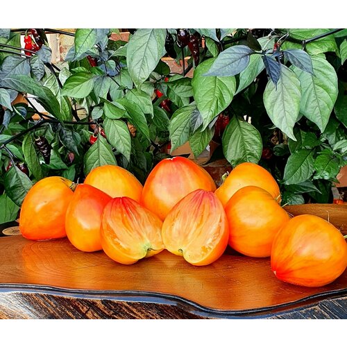 ������ ������ ������ ������ ������ ������������� ���� (Arkansas Marvel Heart) / Seeds And Goods / � �������� zip-lock ��� ���������� 10 ����� ����