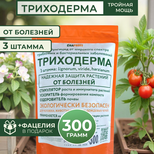 ������ ������ ���������� 3 ������ , 300� ����