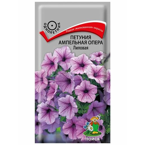 ������ ������ ������ ����� ������� ��������� ����� ������� 5 ��. ����