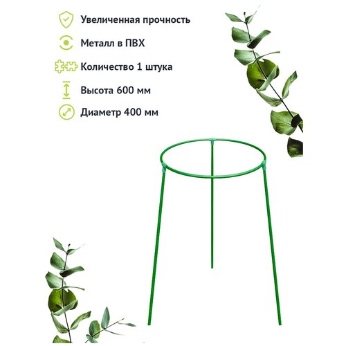 ������ ������ �������������� 