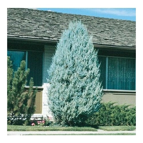 ������ ������ ������������ �������� ������� ����