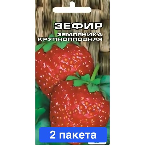 ������ ������ ������ ������ ��������� ��� 