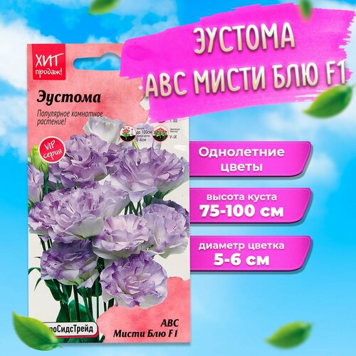 ������ ������ ������ ������ ������������� ������� ��� ����� ��� F1 5 ��. ����