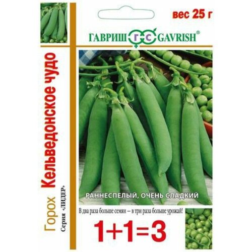 ������ ������ ������ ����� ������������� ���� ��������� 25� ������ (������) 1+1 ����