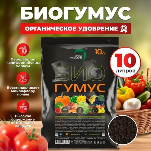 ������ ������ �������� ��� ������� ���� �������/ ������������ ���������, 10 � ����