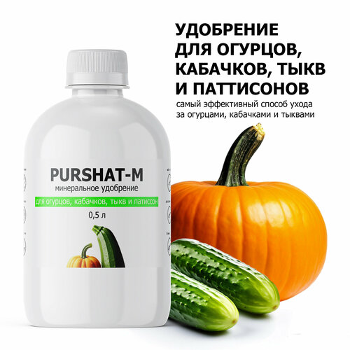 ������ ������ ��������� ��� ������� ��� ��������, ����� ������ (Purshat) 500 �� ����