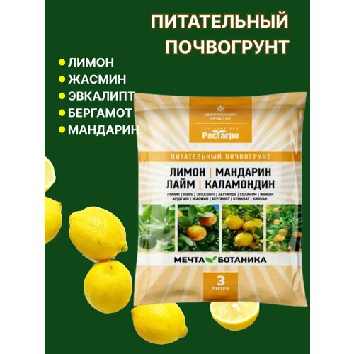 ������ ������ ����� ��� ���������� ����� ����� �������� 3 �. ����