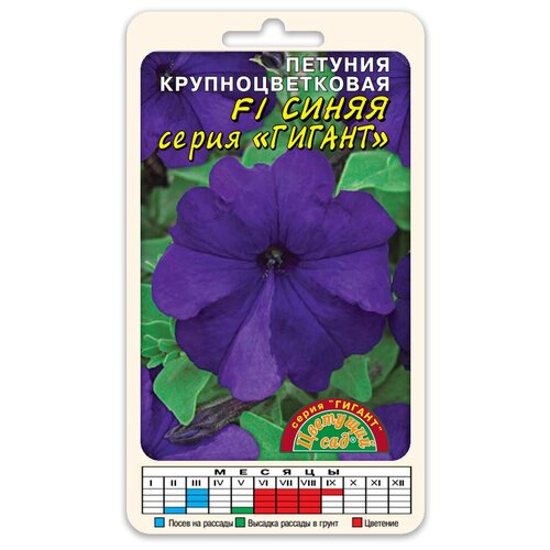 ������ ������ ����� ������� ��������������� ������ ����� F1 (������ �������� ��� 10 ��. � ������) ����