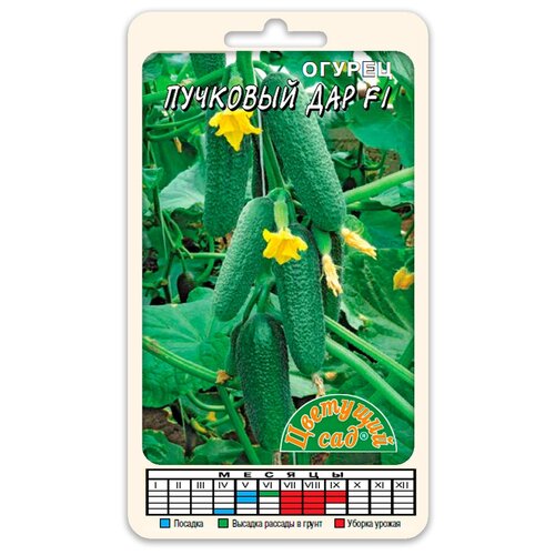 ������ ������ ������ �������� ��� F1 (������ �������� ��� 0,3 �) ����