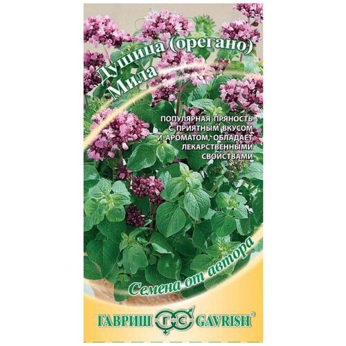 ������ ������ ������ ������ ���� ������� �����. 0,1 ��. ����