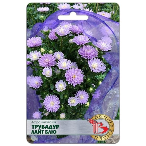 ������ ������ ������ ����� ��������� 