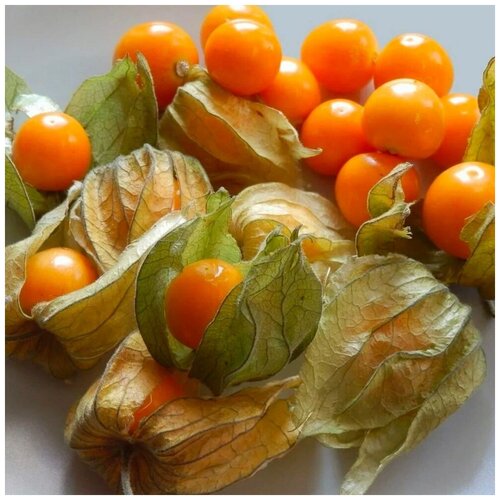 ������ ������ ������ ������ ������� ������������ 20 ��. ����