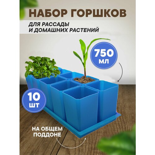 ������ ������ ����� ������� ��� ������� ������� 10 ��, 750 �� ����� ����