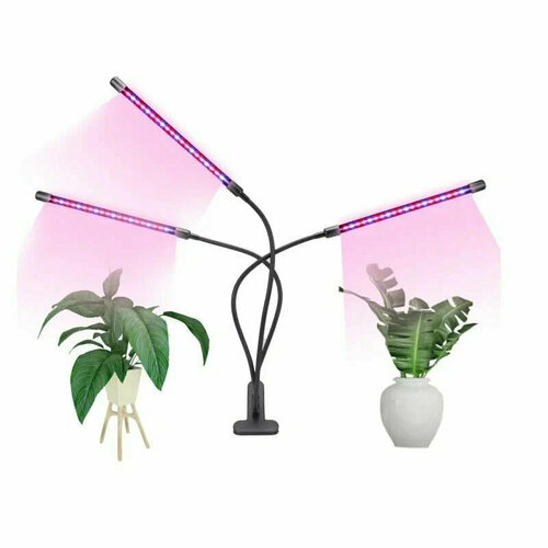 ������ ������ ��������� �� ��������� - 3 ����� � ��������� ����