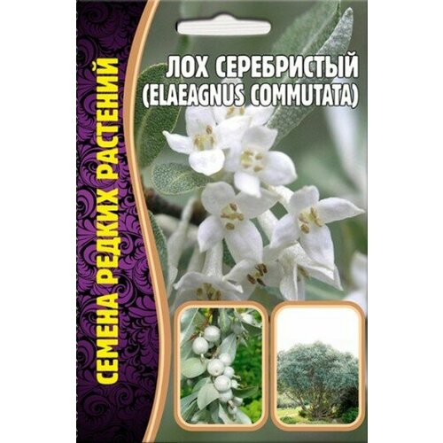 ������ ������ ��� ����������� ������ ������ (2�������� � ������ �� 5 �������) ����