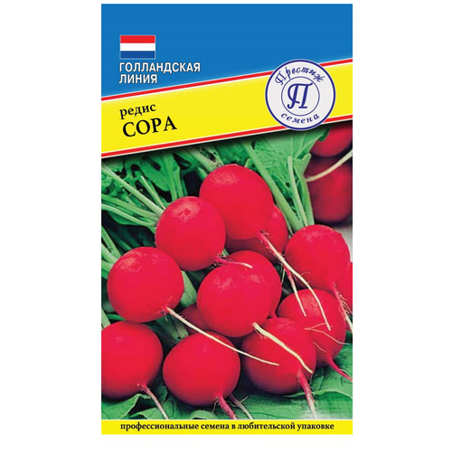 ������ ������ ������/������� ������/������ ����� ���� ����������� ����