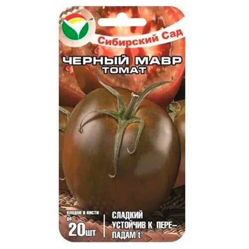 ������ ������ ������ ��������� ��� 