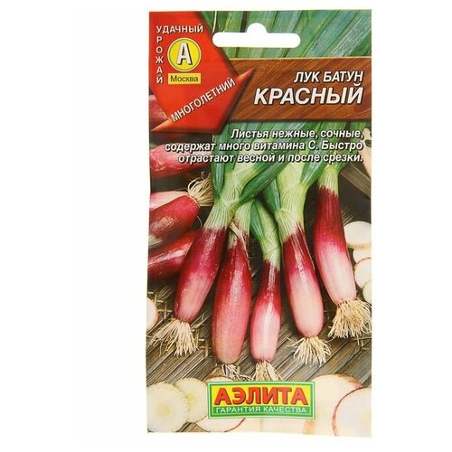 ������ ������ ������ ��� ����� 