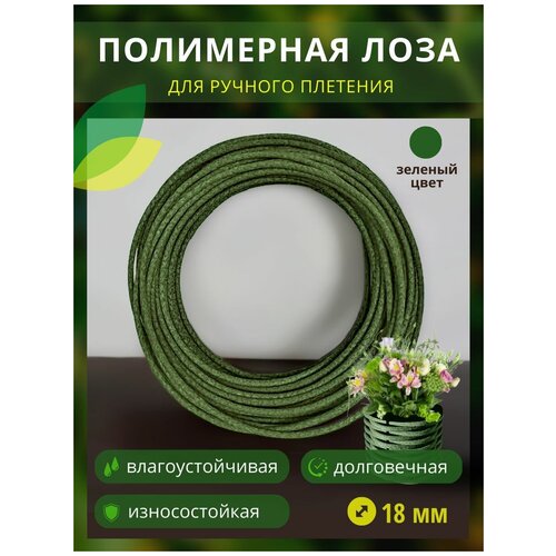 ������ ������ ���������� ���� � �����, ������� 18��, 100�, ������� ���� ����