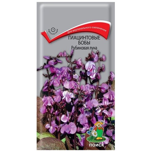 ������ ������ ������ ����������� ���� ��������� ���� 1 �� ����