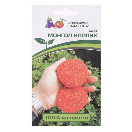 ������ ������ ������ ��������� ������� ����� ������ ������, 10 ��. ����