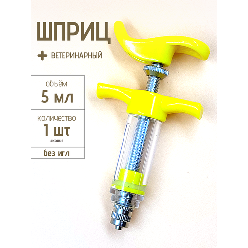 ������ ������ ����� ���������� � ������ ��� ������� ����-��� 5 �� ����