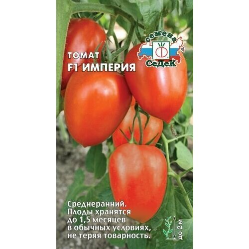 ������ ������ ����� ������� F1 (3 ��������), ������ ����