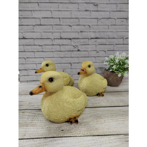 ������ ������ ������ ������������ 