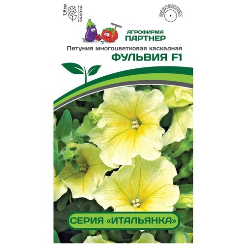 ������ ������ ������� ������� 