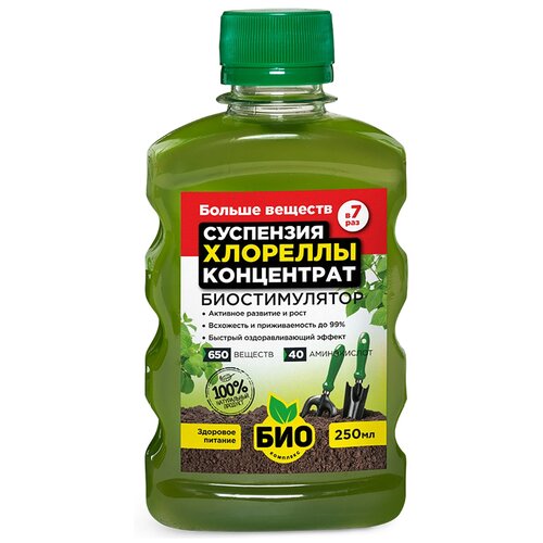 ������ ������ ��������� ���-�������� ��������� �������� ����������, 0.25 �, 253 �, 1 ��. ����