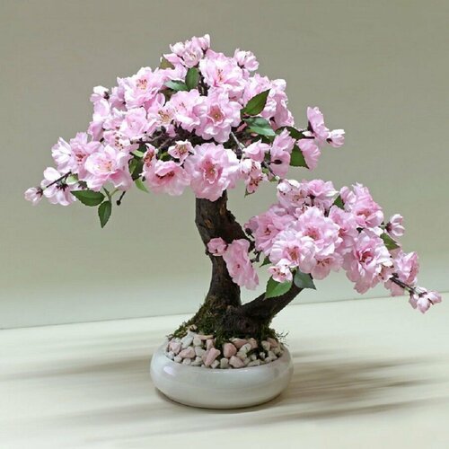 ������ ������ ������ ������, ������ ����