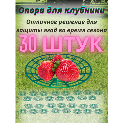 ������ ������ ����� ��� �������� ������� 30 �� ����