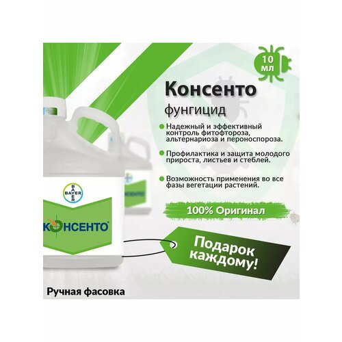 ������ ������ �������� �������� 10�� ����