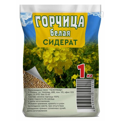 ������ ������ ������� ������ �������, ��� ������������, ������, �����������, ������� 1 ��. ����