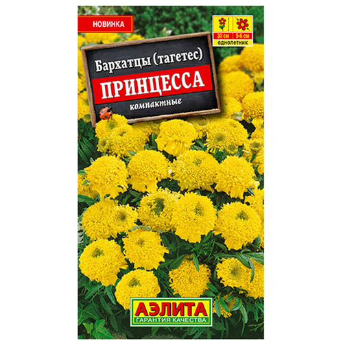 ������ ������ ������. �������� 