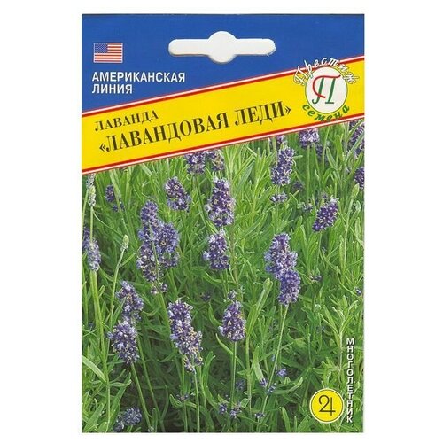 ������ ������ ������� ���������� ���� 0,01�� ����� � ������ (1 �����) ����