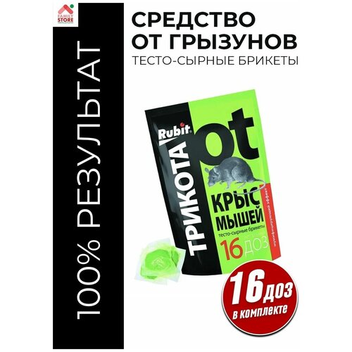 ������ ������ �������� �� �������� 