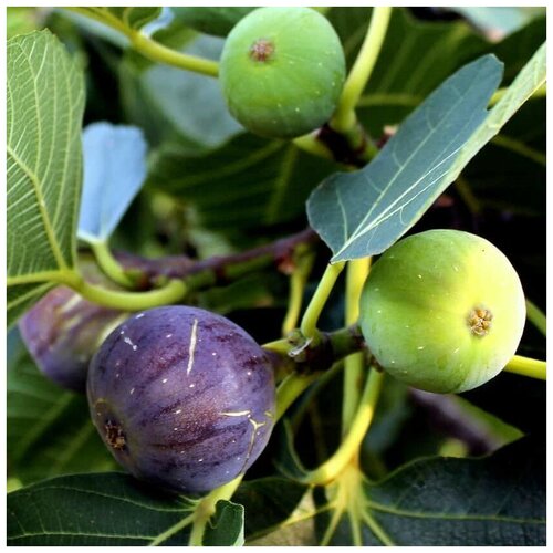 ������ ������ ������ ������ ����� �������� ������ 100 ��. ����