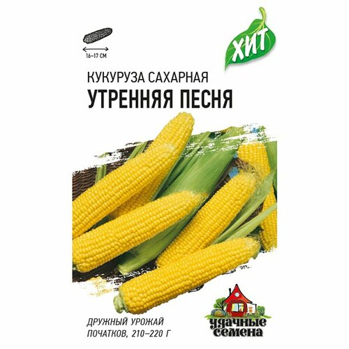 ������ ������ ������ �������� �������� ����� (������) 5� ��� �3 ����