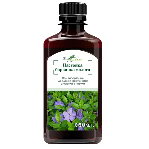 ������ ������ �������� �������� ������, 250�� ����